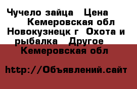 Чучело зайца › Цена ­ 8 000 - Кемеровская обл., Новокузнецк г. Охота и рыбалка » Другое   . Кемеровская обл.